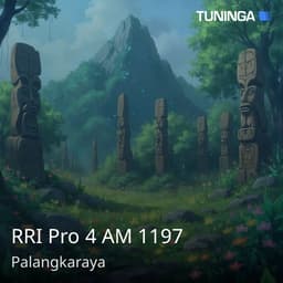 RRI Pro 4 AM 1197