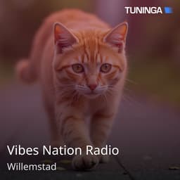 Vibes Nation Radio