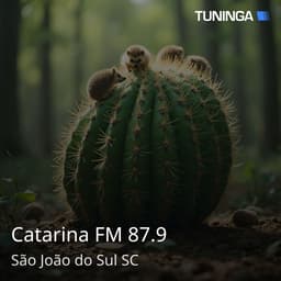 Catarina FM 87.9