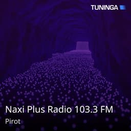 Naxi Plus Radio 103.3 FM