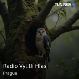 Radio Vyšší Hlas