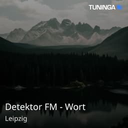 Detektor FM - Wort