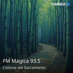 FM Mágica 93.5