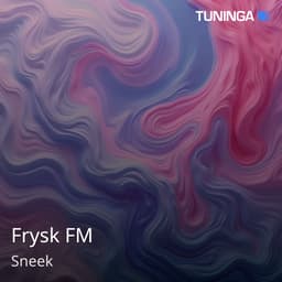 Frysk FM