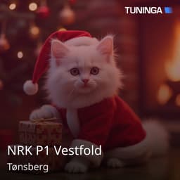 NRK P1 Vestfold