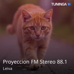 Proyeccion FM Stereo 88.1