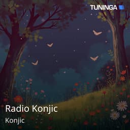 Radio Konjic