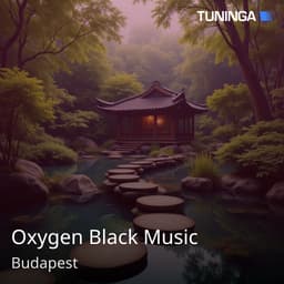 Oxygen Black Music