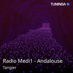 Radio Medi1 - Andalouse