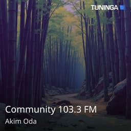 Community 103.3 FM