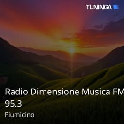 Radio Dimensione Musica FM 95.3