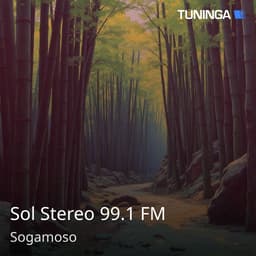 Sol Stereo 99.1 FM