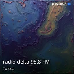 radio delta 95.8 FM