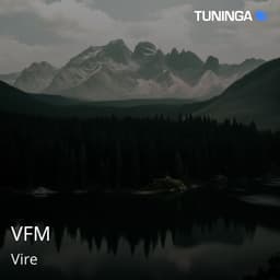 VFM