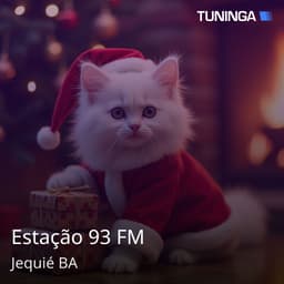 Estação 93 FM