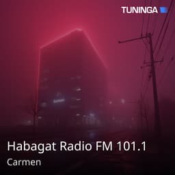 Habagat Radio FM 101.1