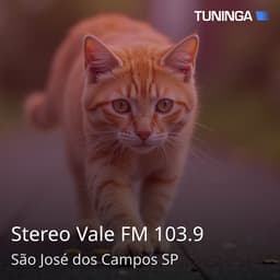 Stereo Vale FM 103.9