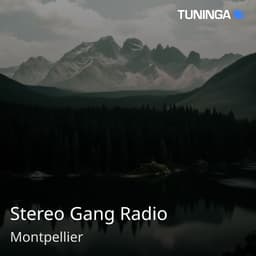 Stereo Gang Radio