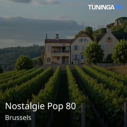 Nostalgie Pop 80