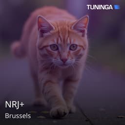 NRJ+
