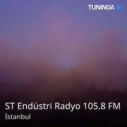 ST Endüstri Radyo 105.8 FM
