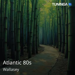 Atlantic 80s
