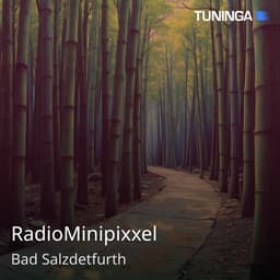 RadioMinipixxel
