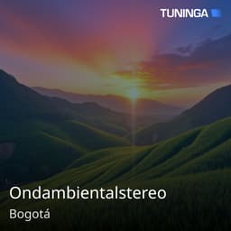 Ondambientalstereo