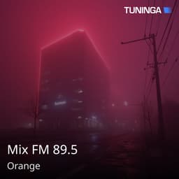 Mix FM 89.5