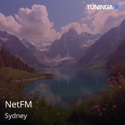 NetFM