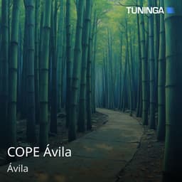 COPE Ávila