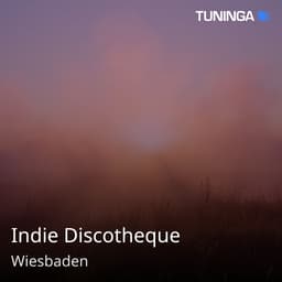Indie Discotheque