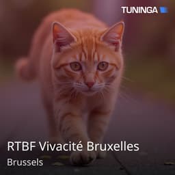 RTBF Vivacité Bruxelles