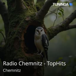 Radio Chemnitz - TopHits