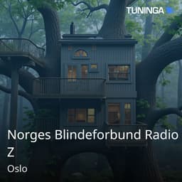 Norges Blindeforbund Radio Z