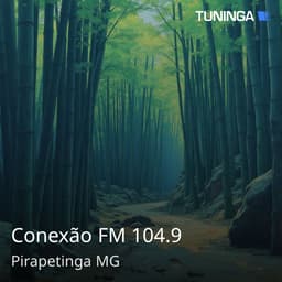 Conexão FM 104.9