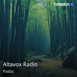 Altavox Radio