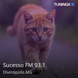 Sucesso FM 93.1