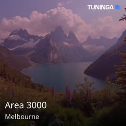 Area 3000
