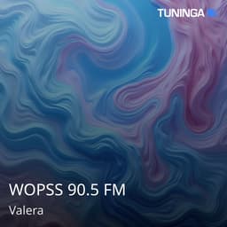 WOPSS 90.5 FM