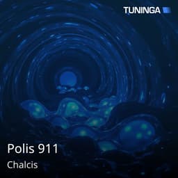 Polis 911