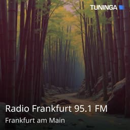Radio Frankfurt 95.1 FM