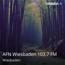 AFN Wiesbaden 103.7 FM