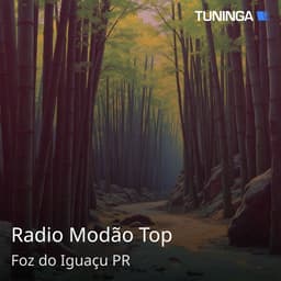 Radio Modão Top