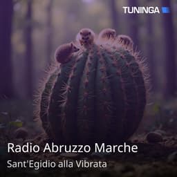 Radio Abruzzo Marche