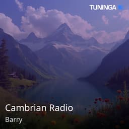 Cambrian Radio