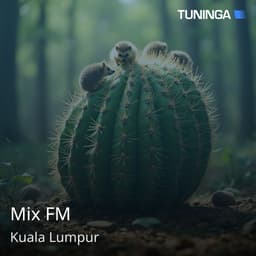 Mix FM