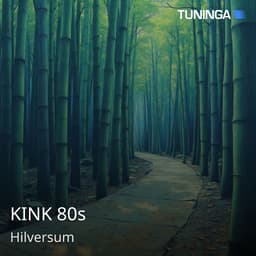 KINK 80s