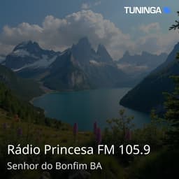 Rádio Princesa FM 105.9