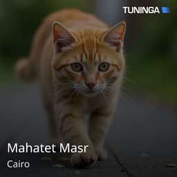 Mahatet Masr